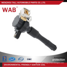 Factory price 12v oem NEC000040 NEC101010L NEC101000 LR022494 ignition coil for small engine for MG